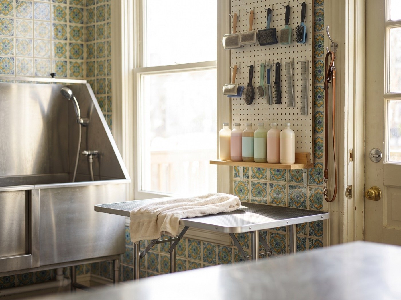 Grooming table, tub and brushes in a pet salon