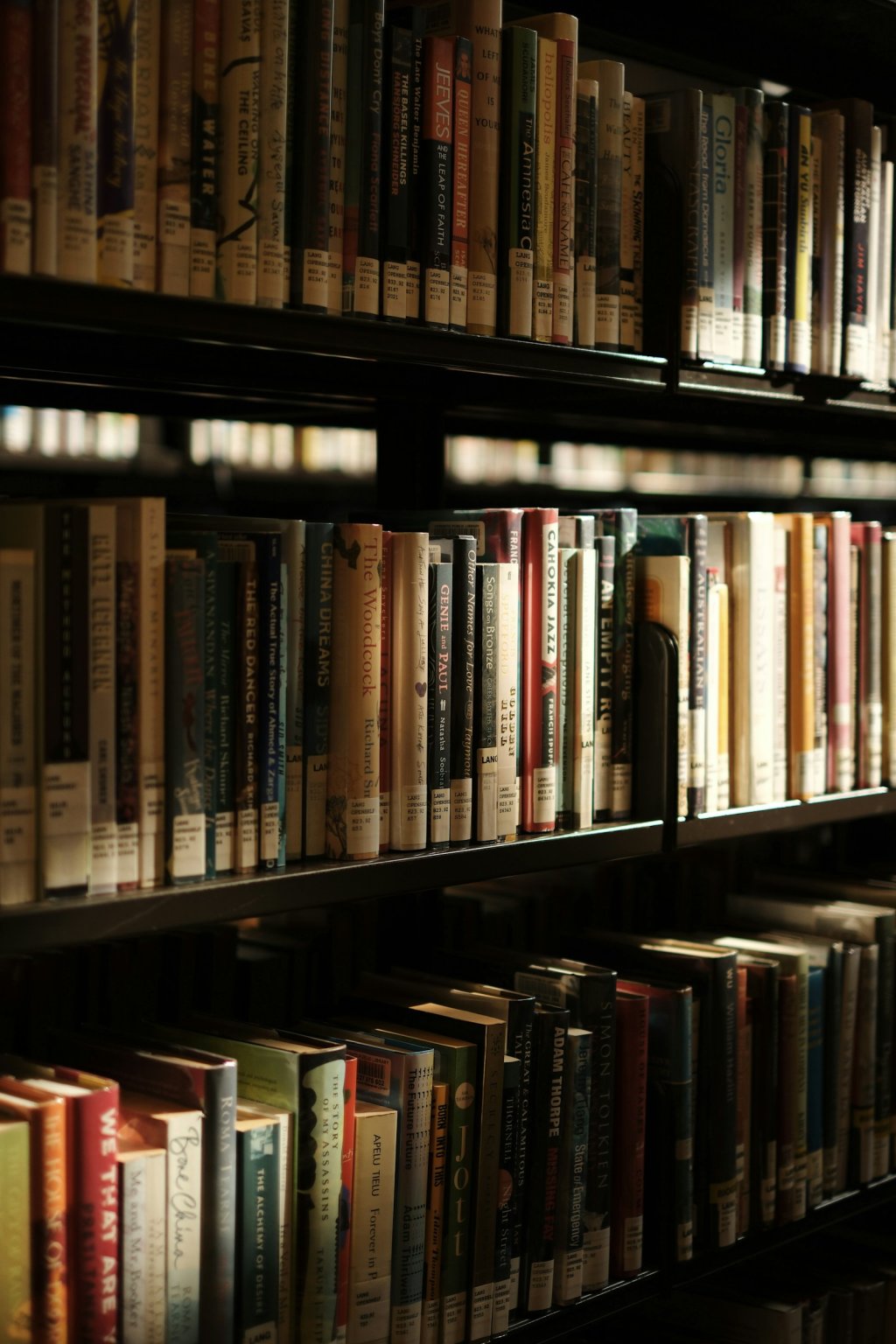 Rows of books on tall library shelves — illustrating scale and programmatic content