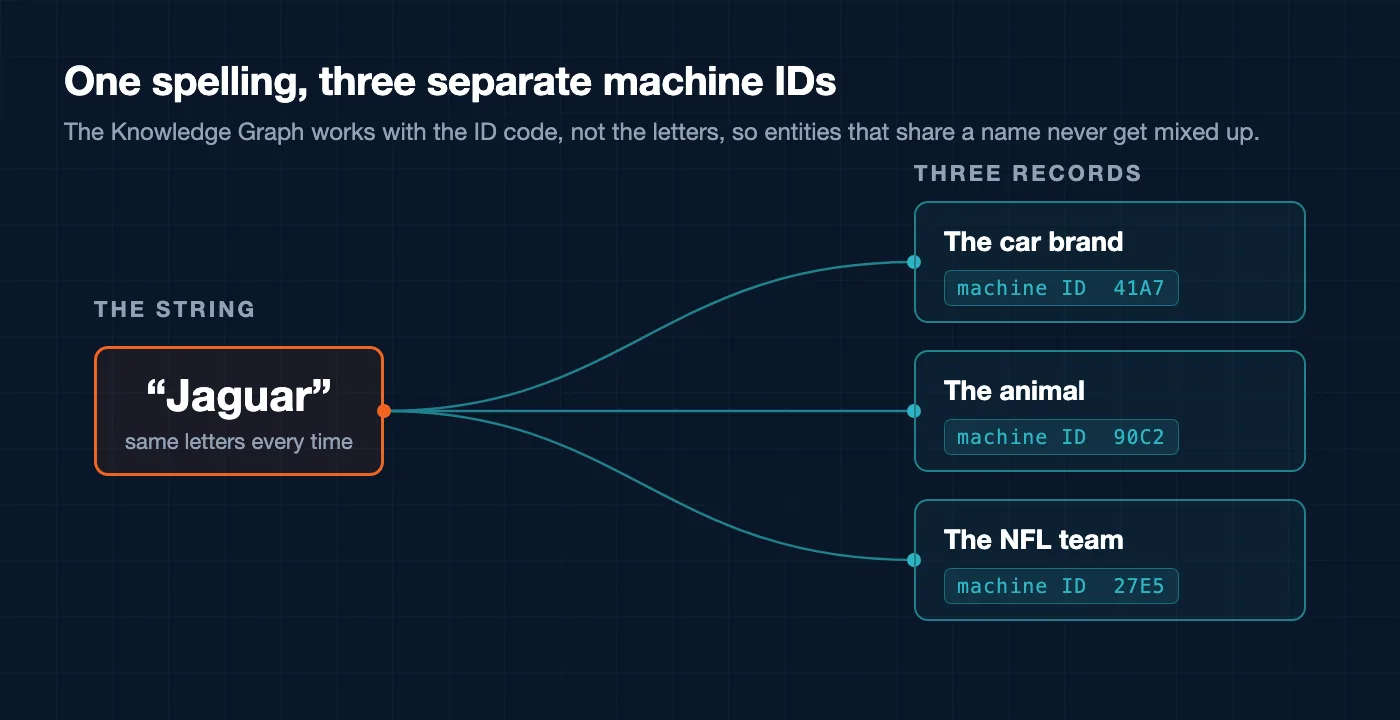 The word Jaguar branching into three separate Knowledge Graph records - the car brand, the animal, and the NFL team - each holding its own unique machine ID code